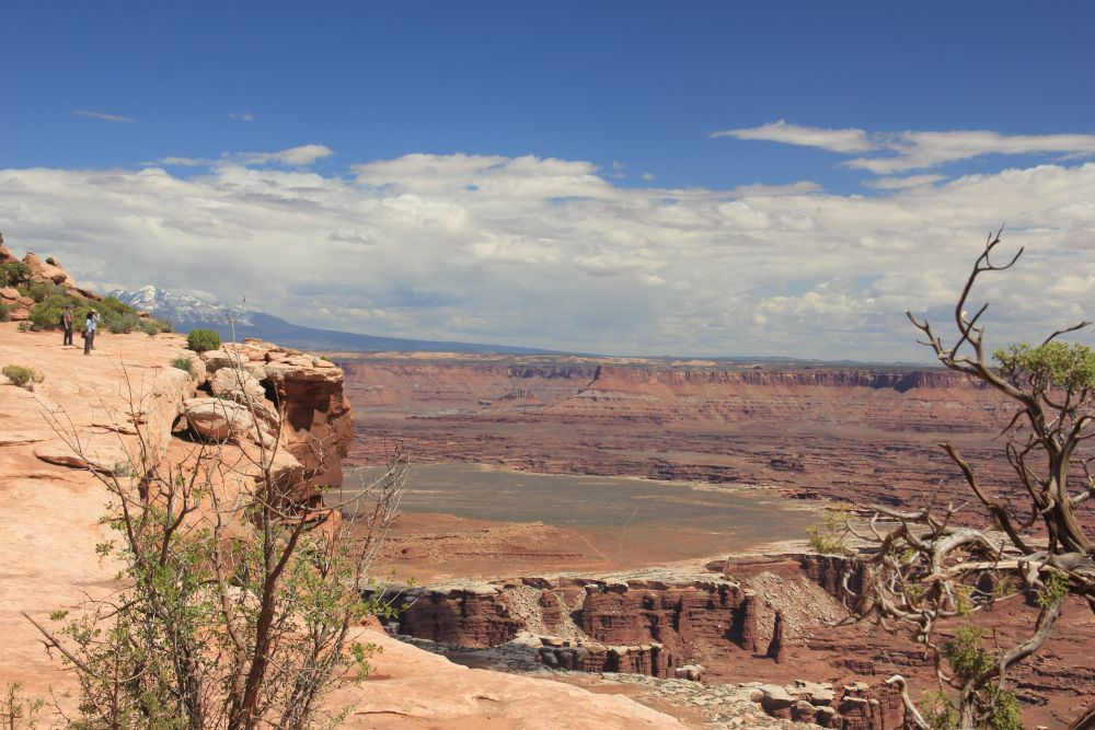 Outlook