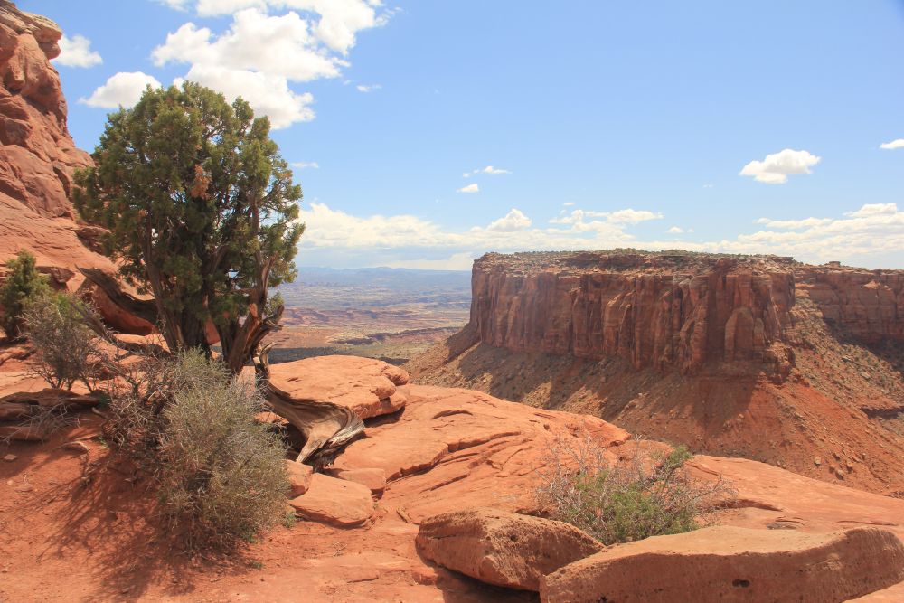 Outlook