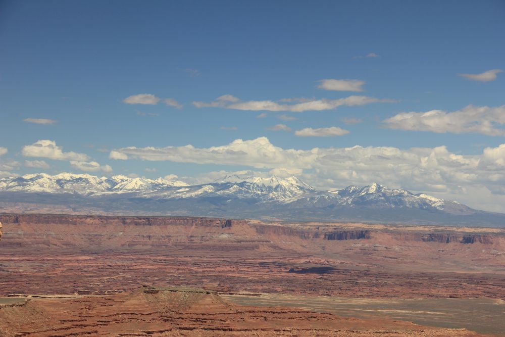 Outlook