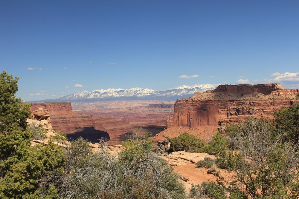 Outlook
