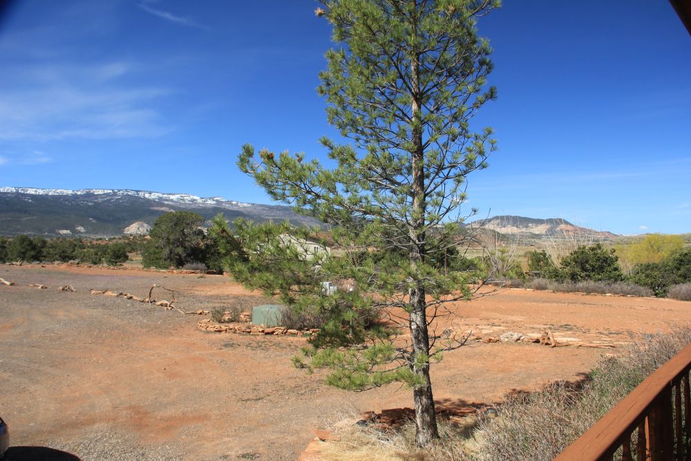 Outlook