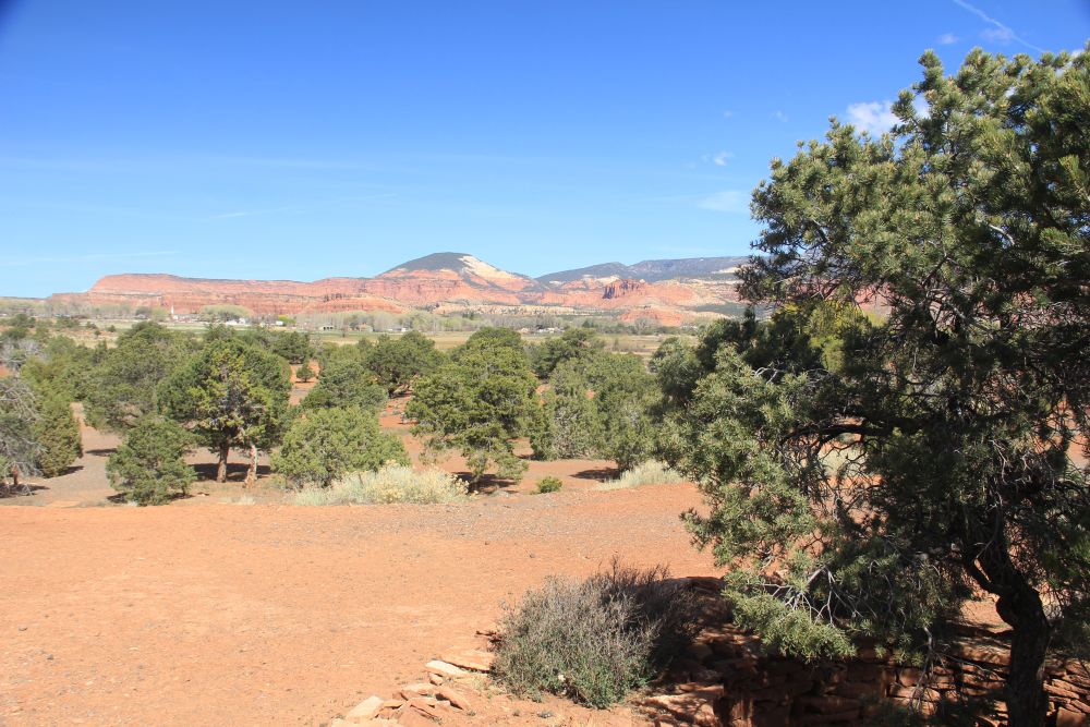 Outlook