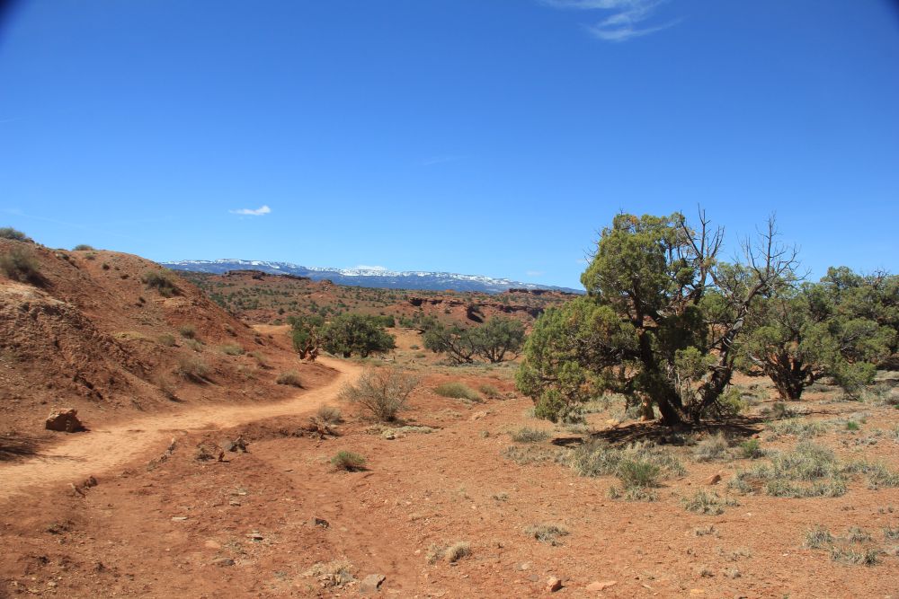 Outlook