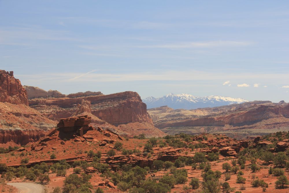 Outlook