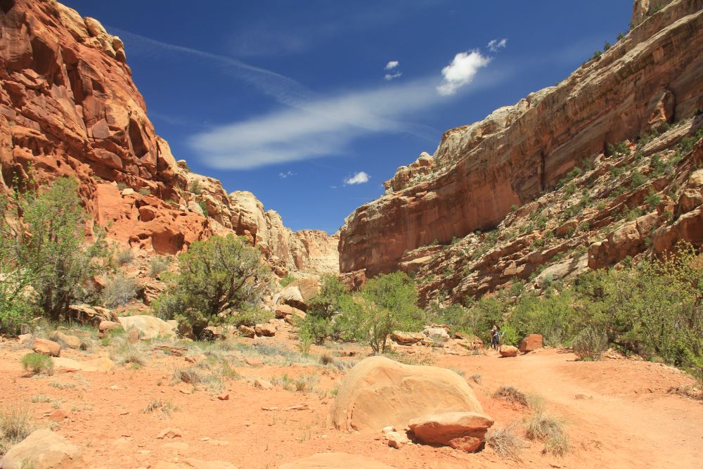 Outlook