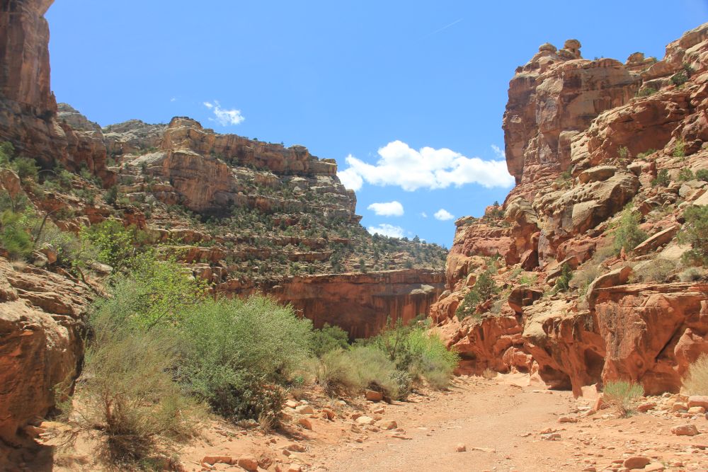 Outlook