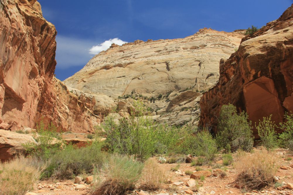 Outlook