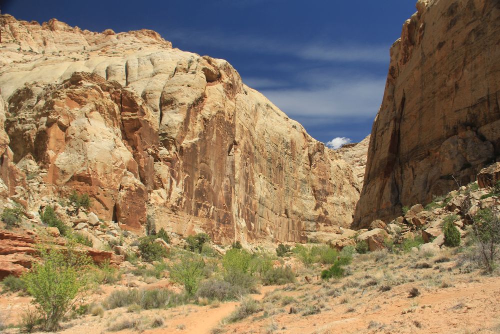 Outlook