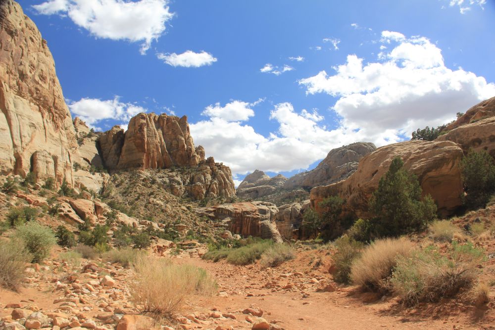 Outlook