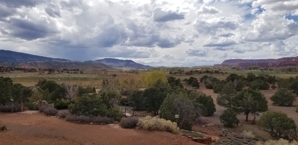 Outlook