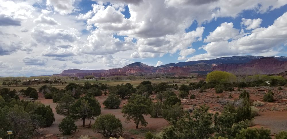 Outlook