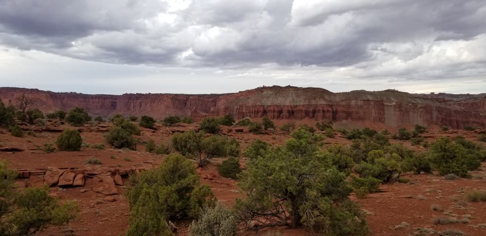 Outlook
