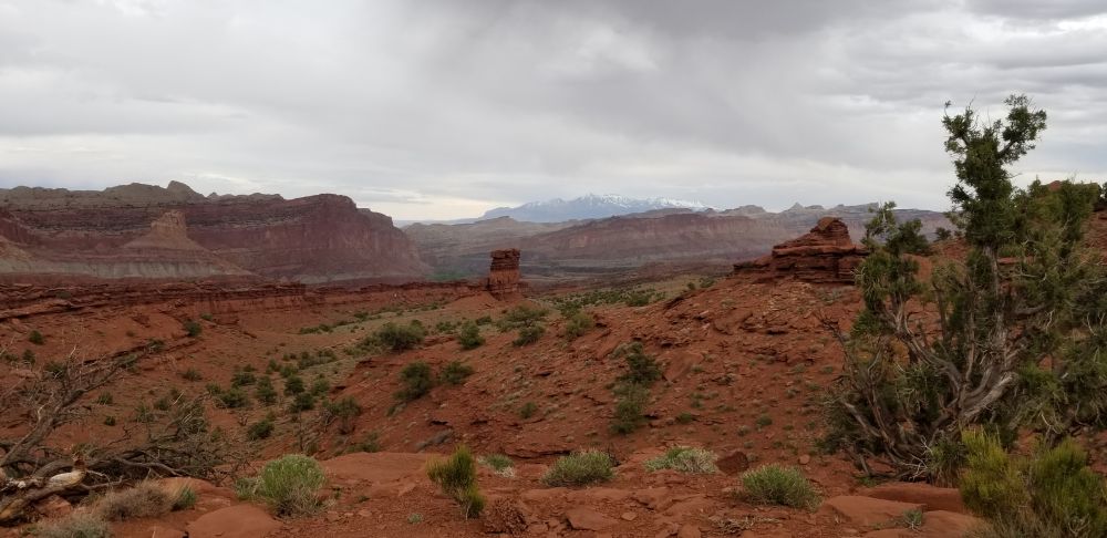 Outlook