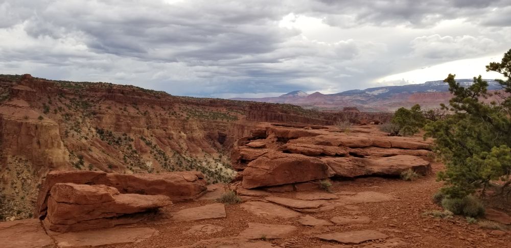Outlook