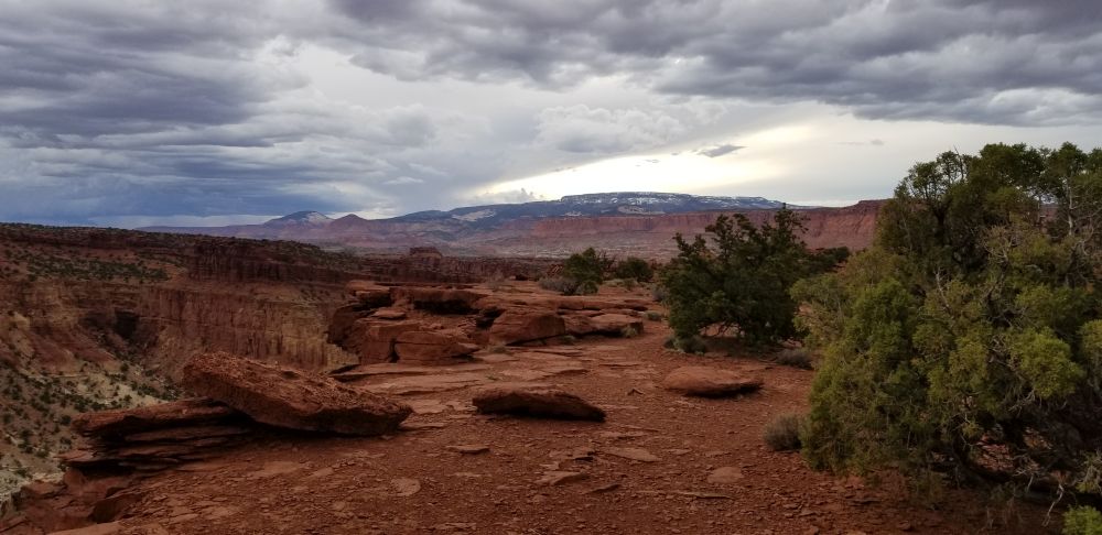 Outlook