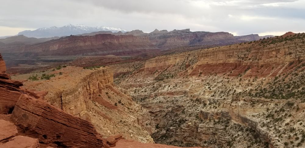 Outlook