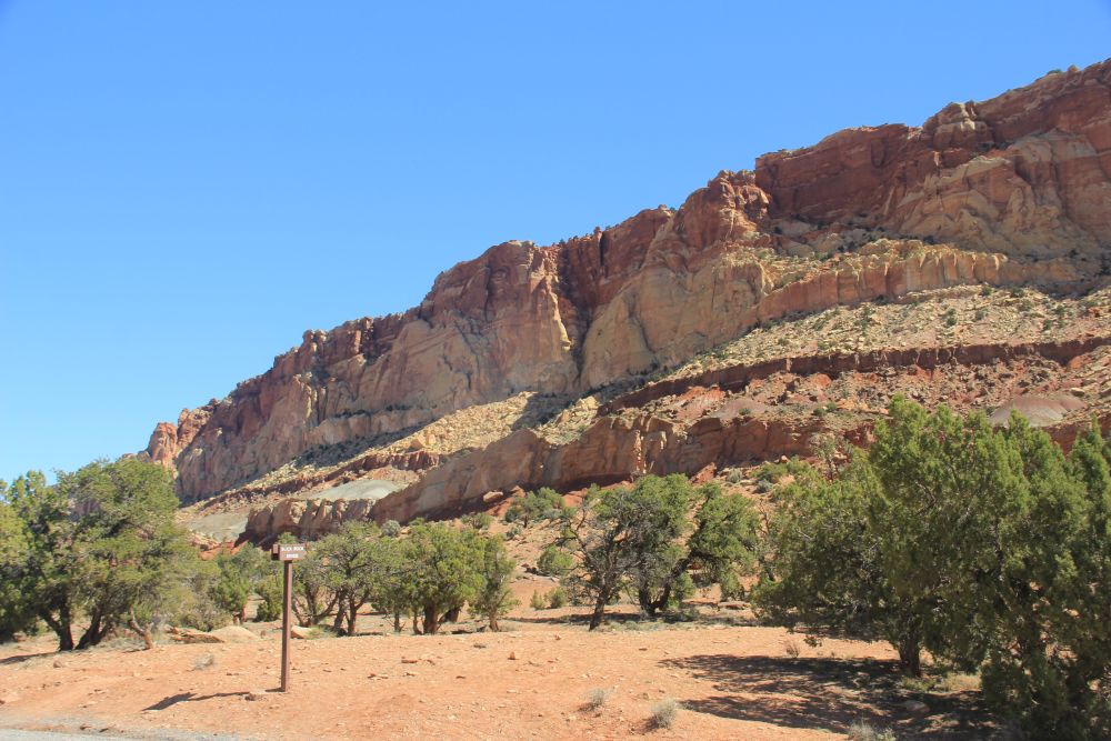 Outlook