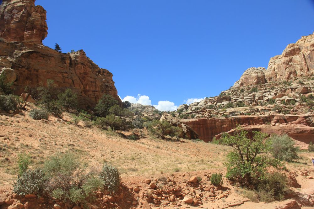 Outlook
