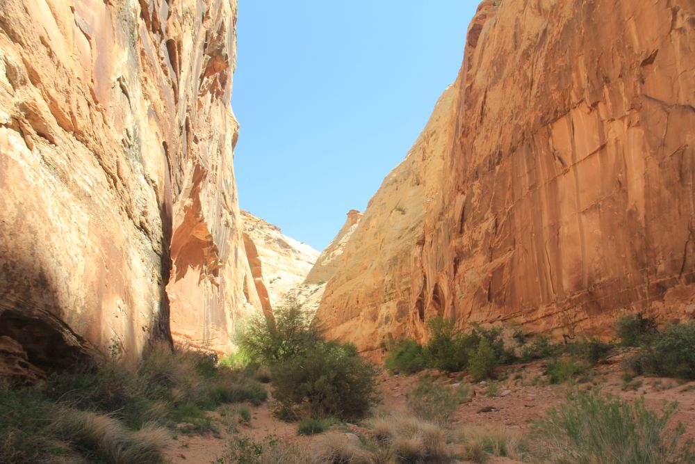 Outlook