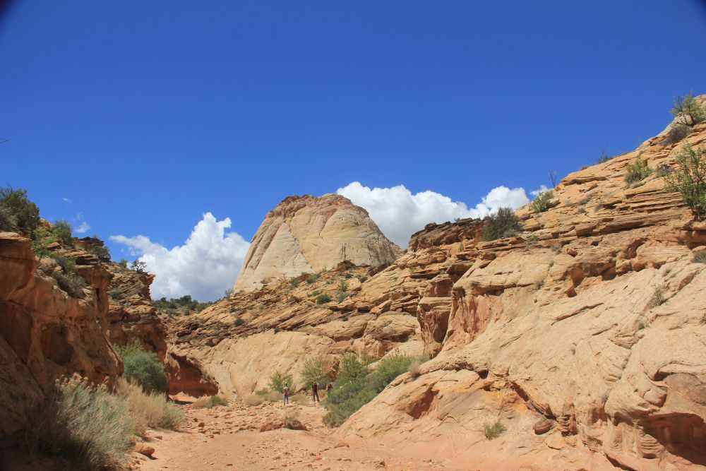 Outlook