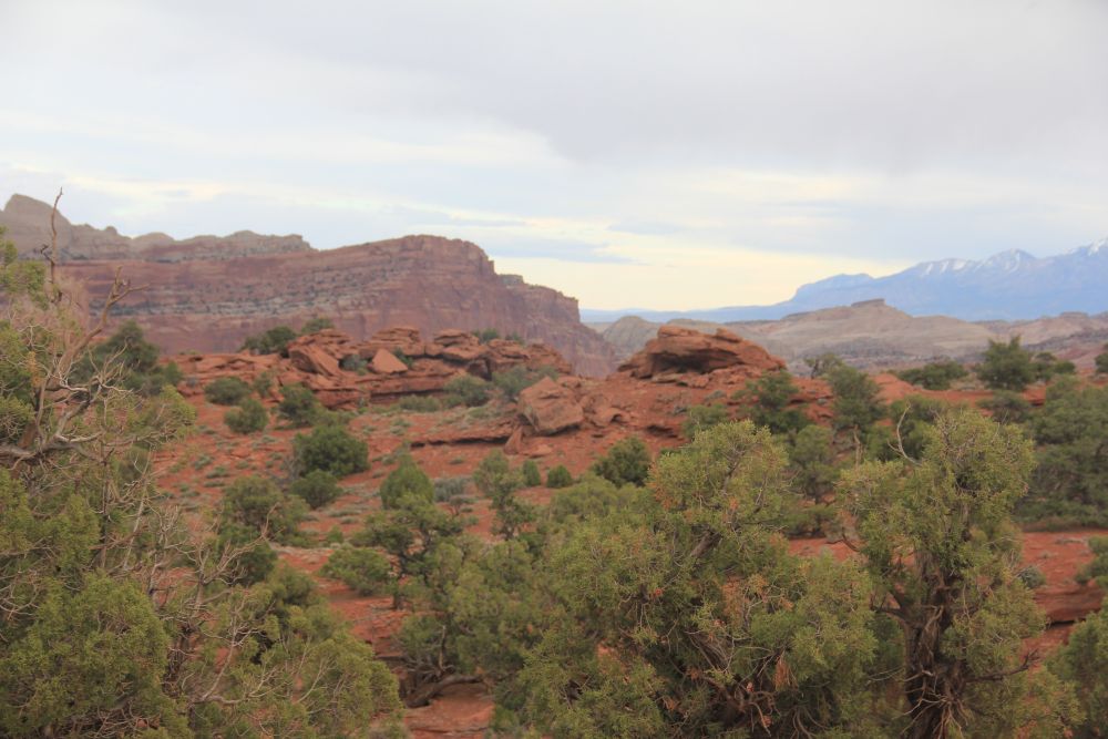 Outlook