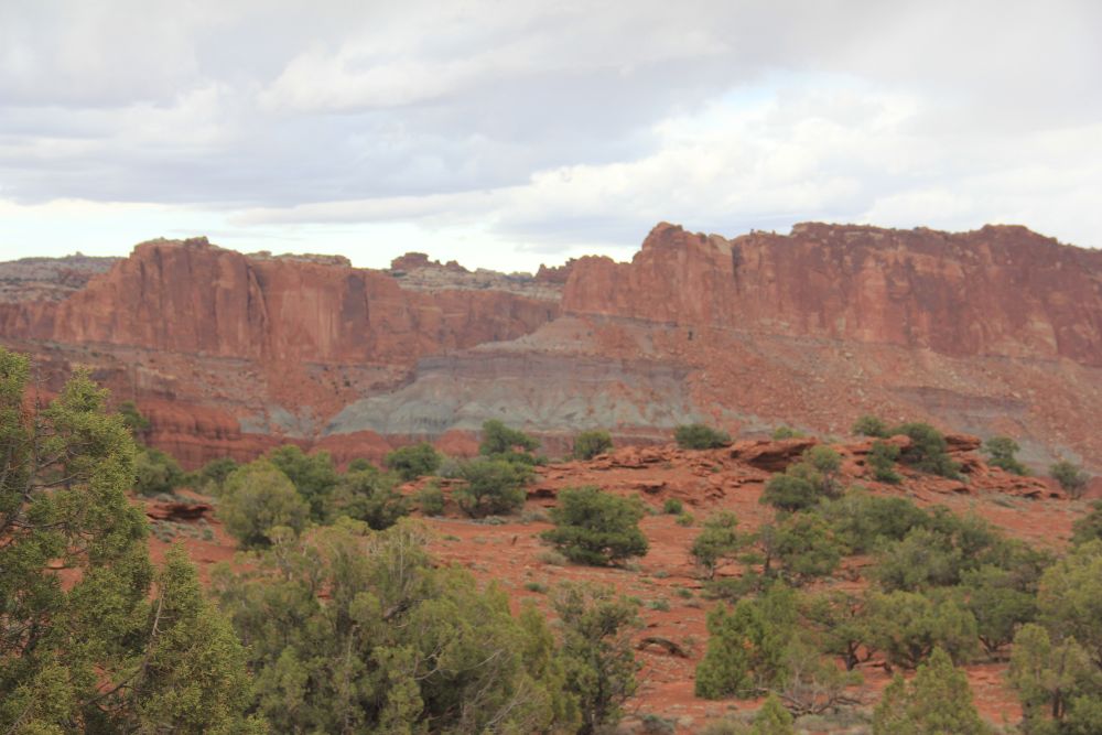 Outlook