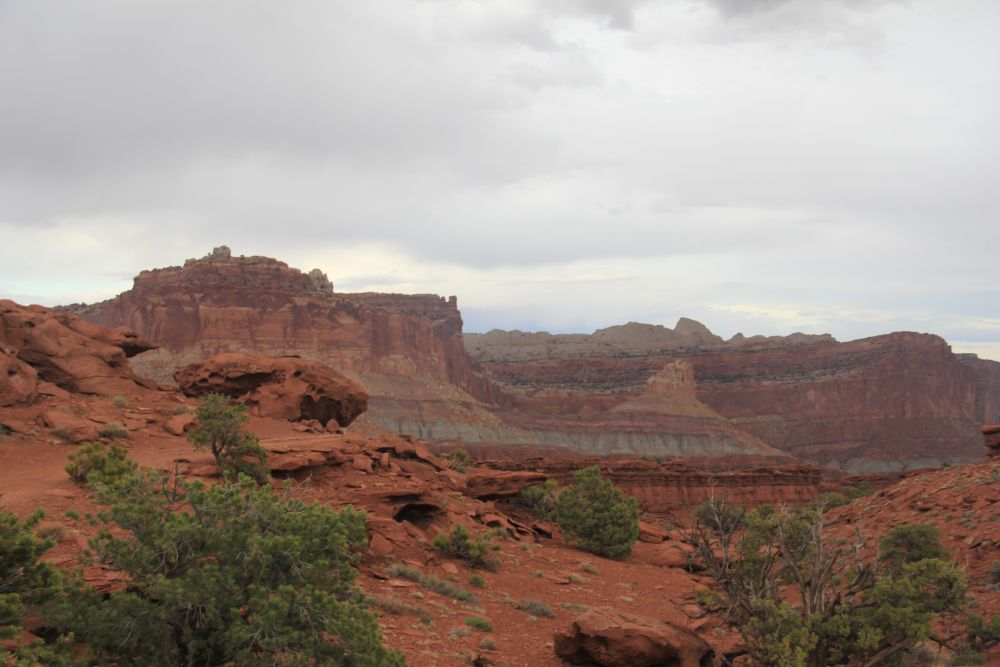 Outlook