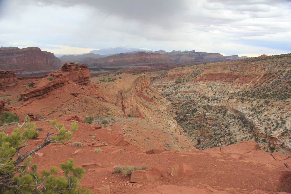 Outlook