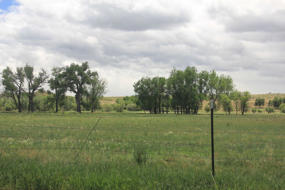 Outlook