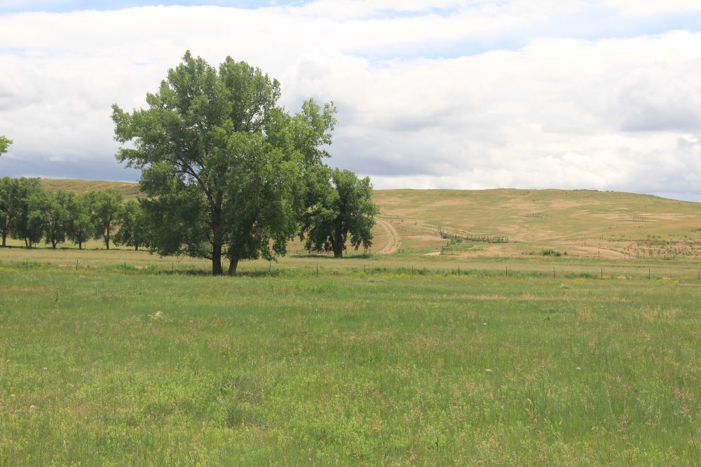 Outlook