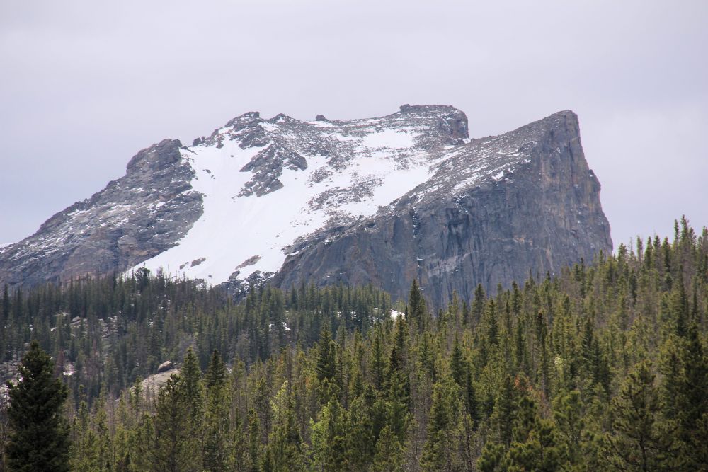 Outlook