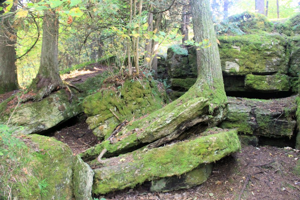 Outlook