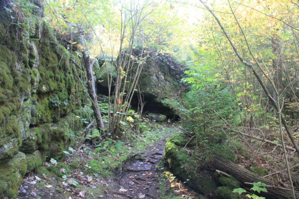Outlook