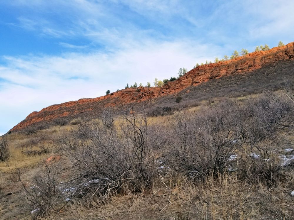 Outlook
