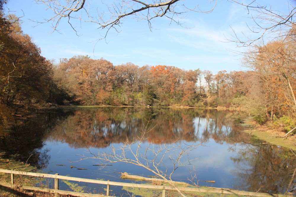Bluff Trail