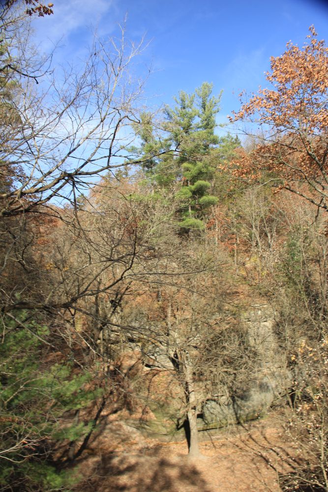 Outlook