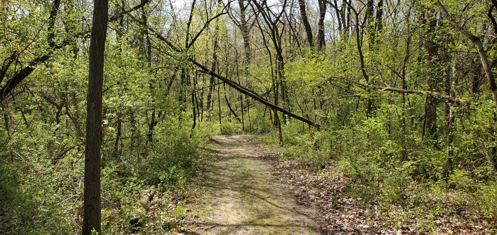 Outlook