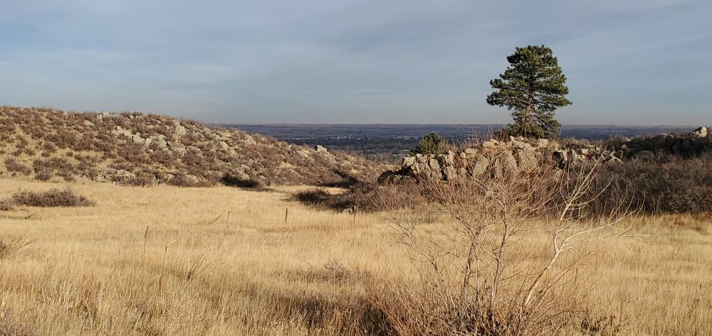 Outlook