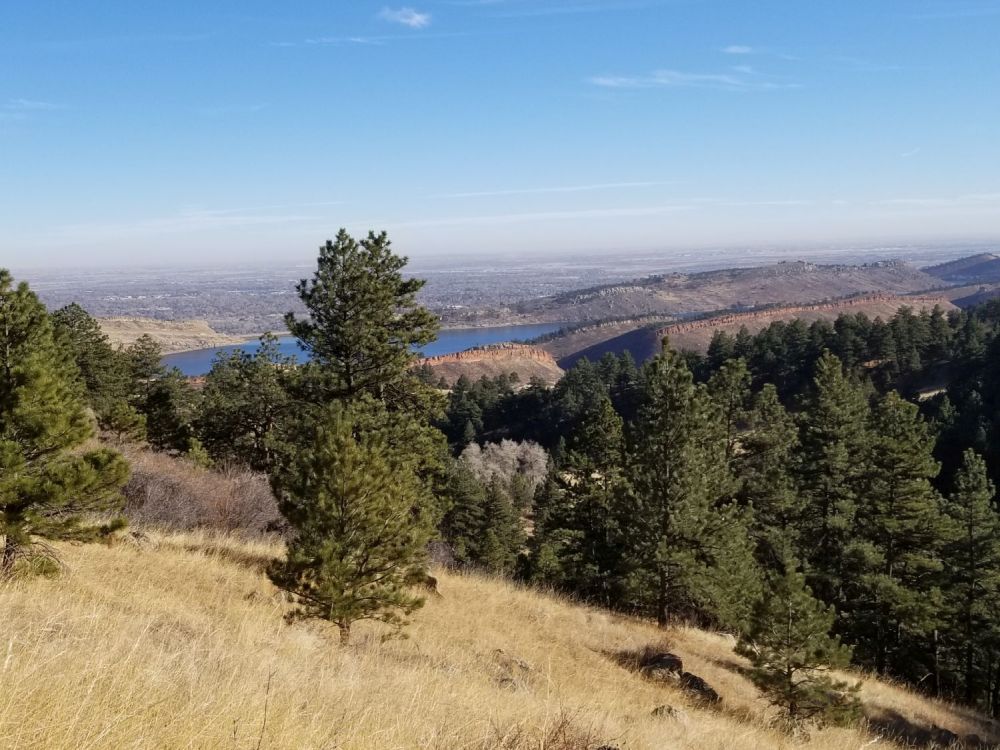Outlook