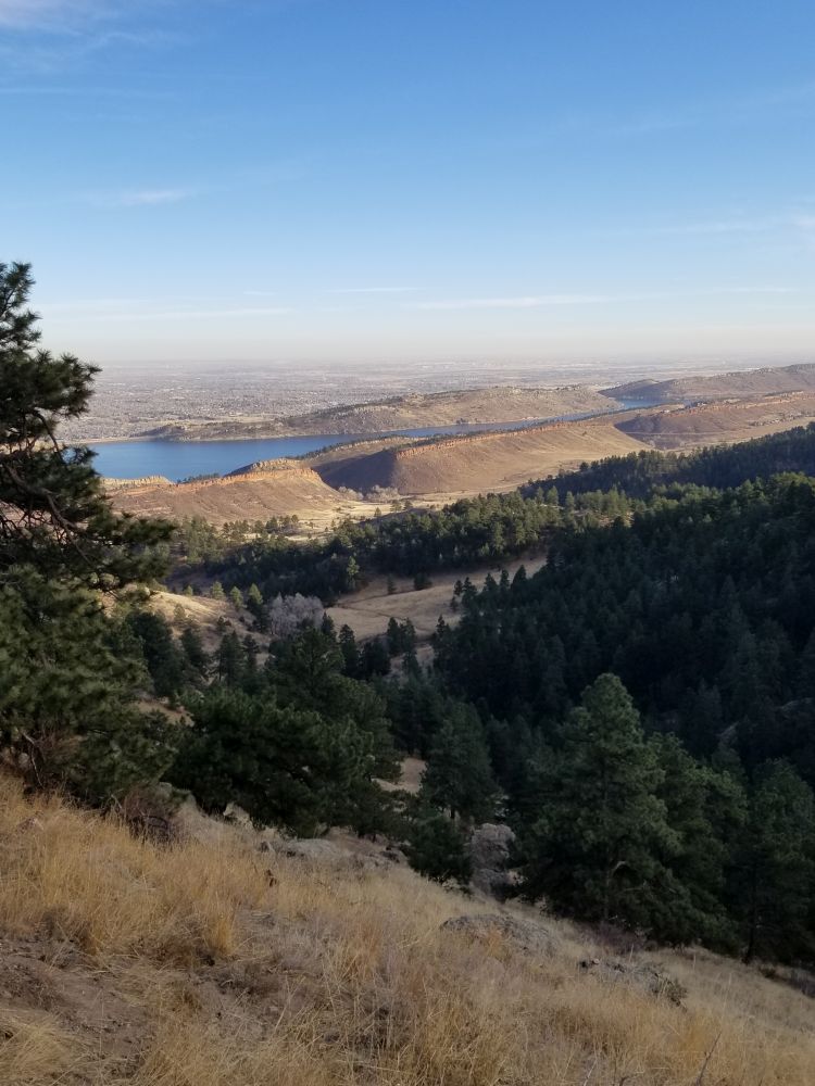 Outlook