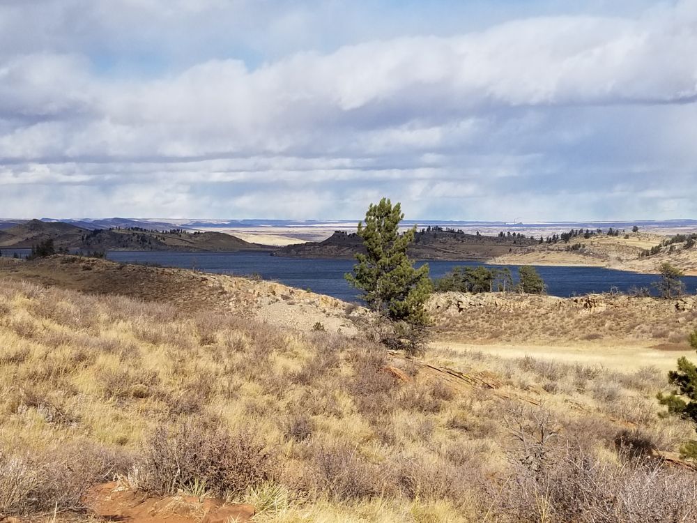 Outlook