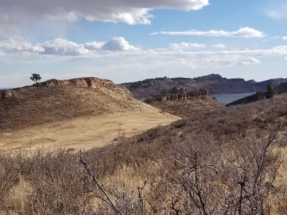 Outlook