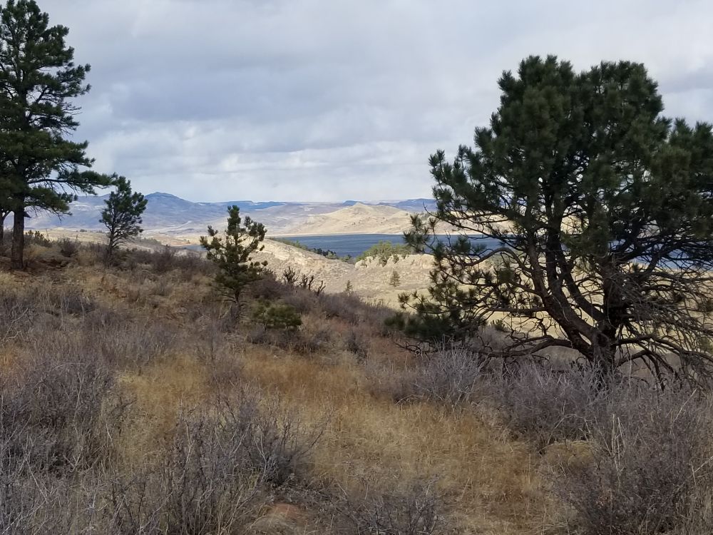 Outlook