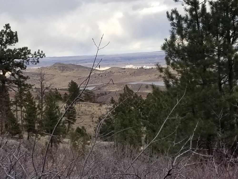 Outlook
