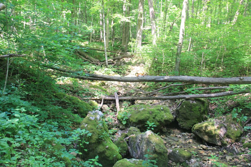 Outlook