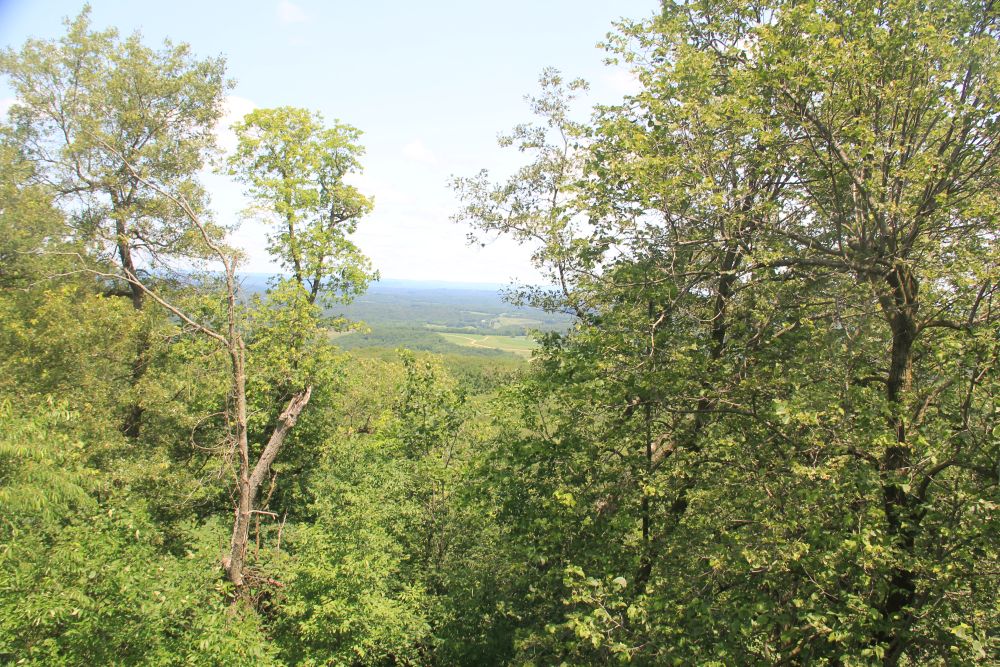Outlook