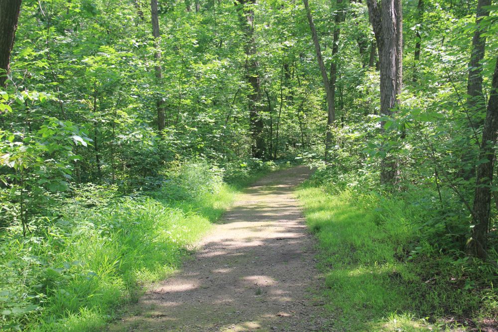 Outlook