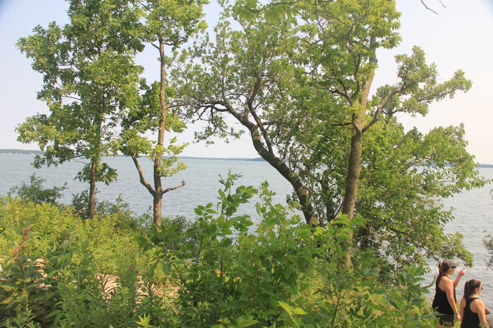 Outlook