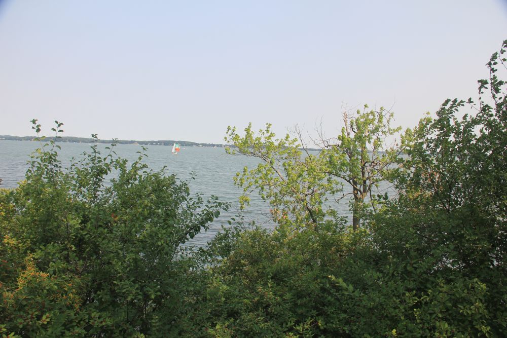 Outlook