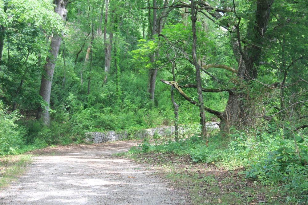 Outlook